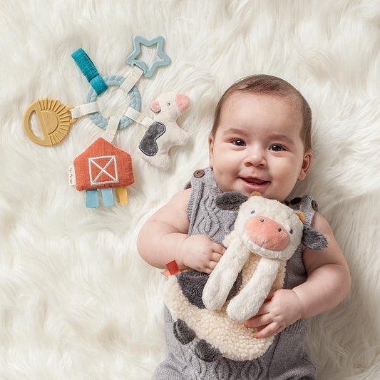 Bitzy Busy Ring™ Teething Activity Toy - Farm