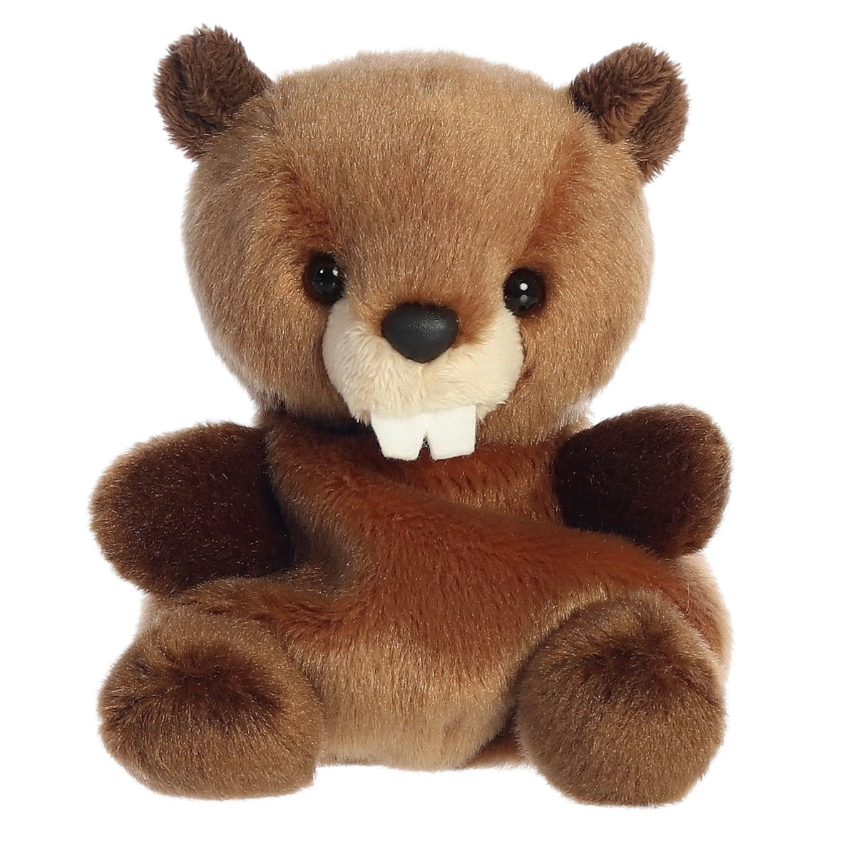 Chewy Beaver 5”