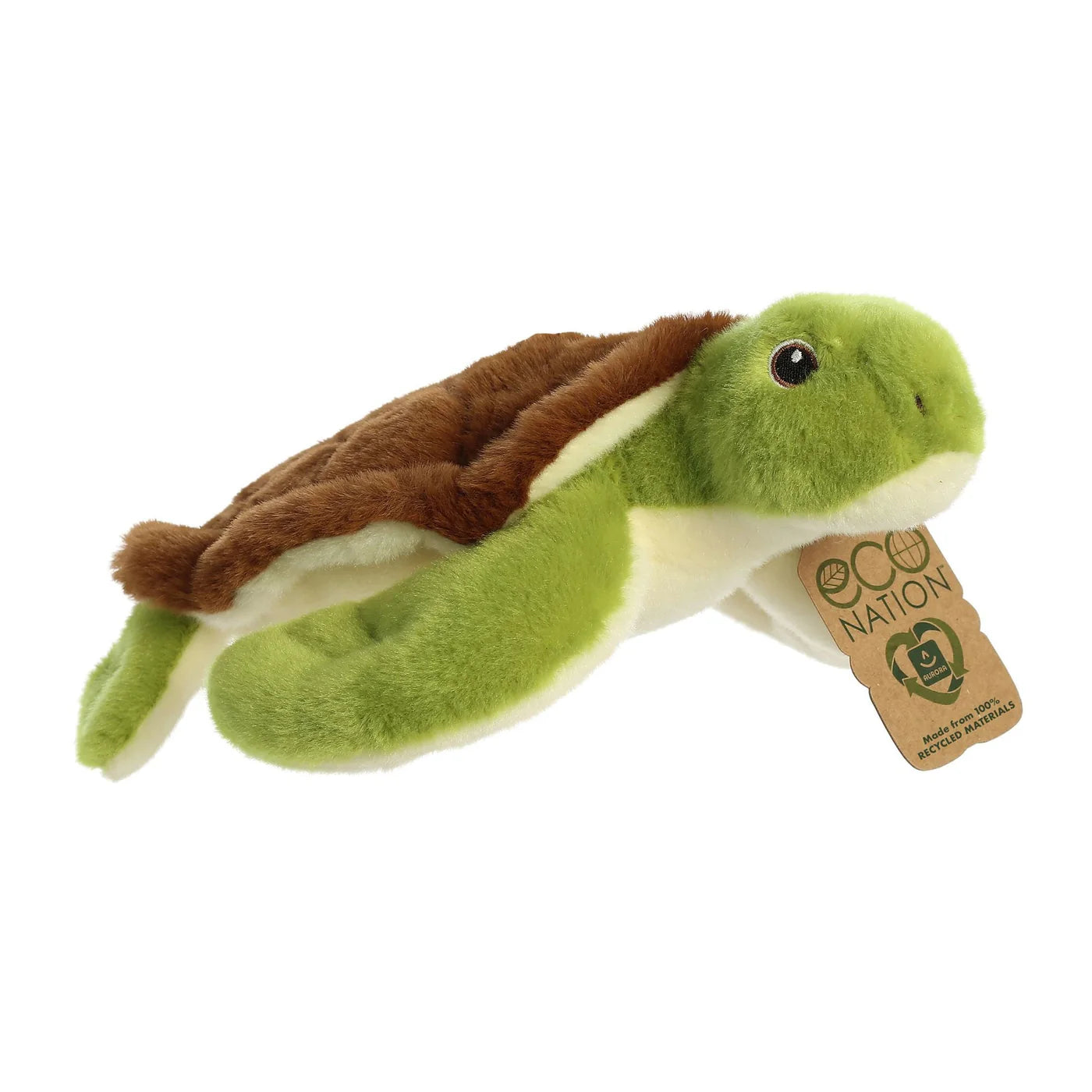 Turtle 5”