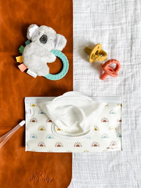 Take & Travel™ Pouch Reusable Wipes Cases (Dino)