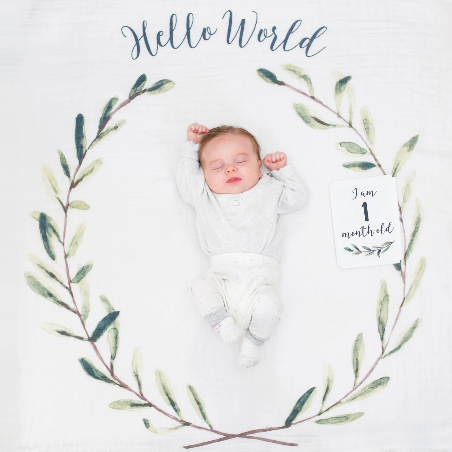 Baby's 1st Year Milestone Blanket Set (Hello World Wrealth)