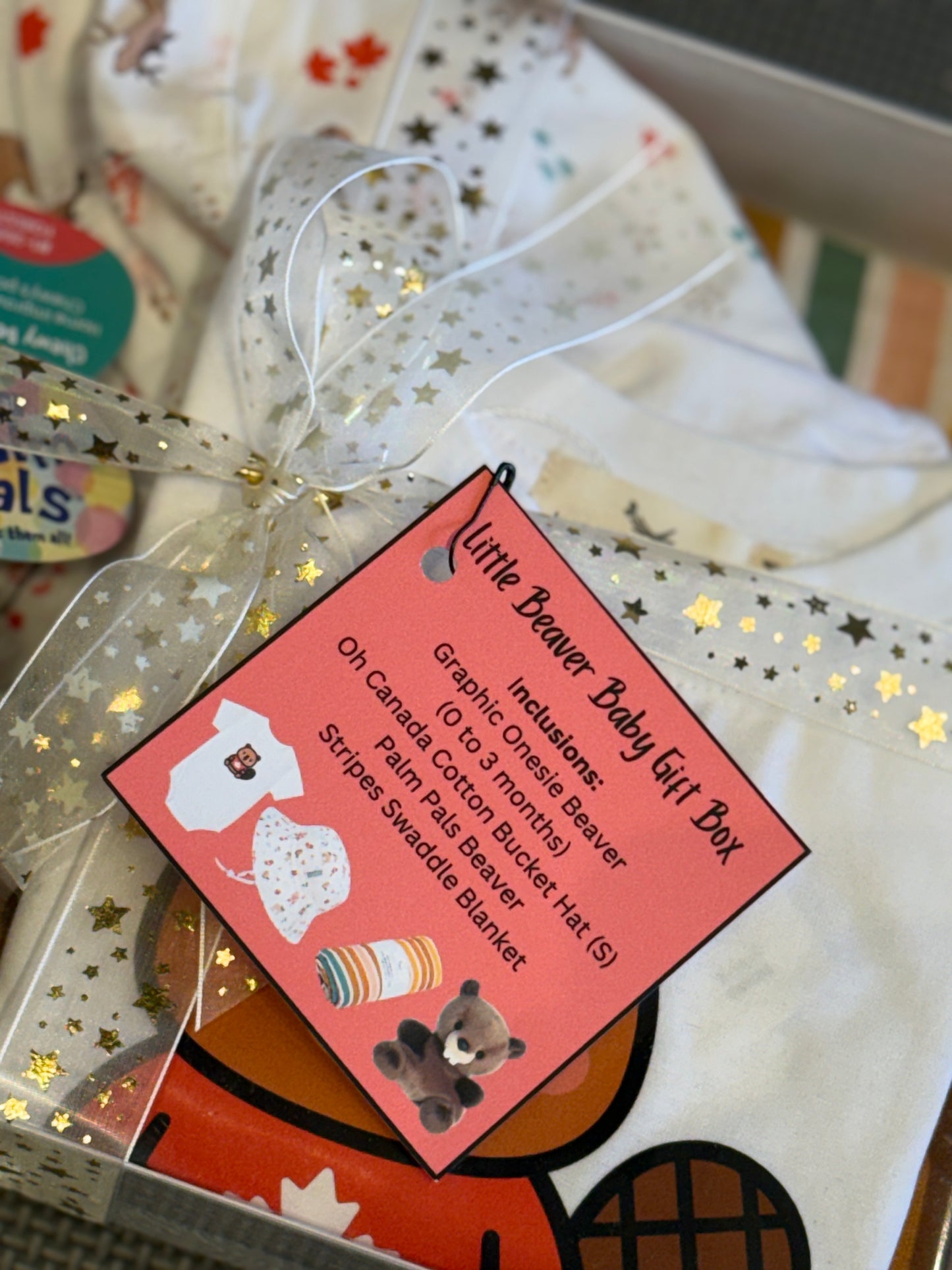 Little Beaver Baby Gift Box