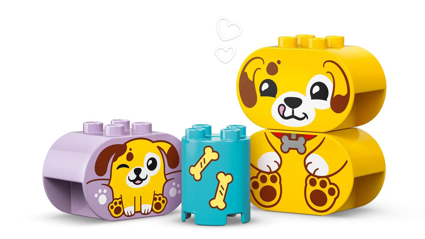 DUPLO® Shape Sorter: Puppy House