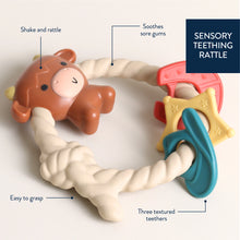 Load image into Gallery viewer, Ritzy Rattle™ Silicone Teether Rattles - Highland Cow
