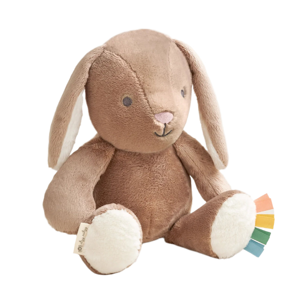 Sweetie Snuggles™ Plush Taupe Bunny