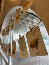 Load image into Gallery viewer, Alphabet Cards - Animals

