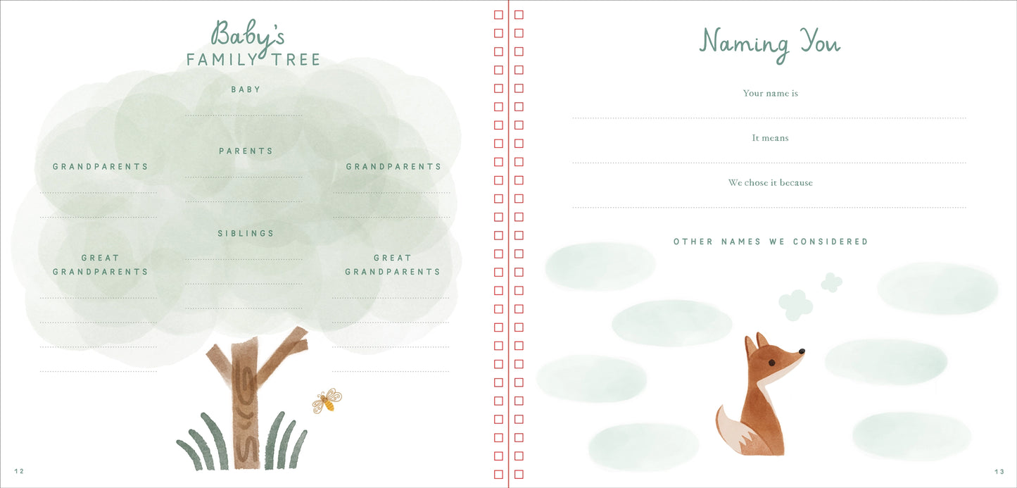 Baby Book First Years