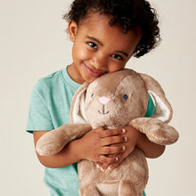 Load image into Gallery viewer, Sweetie Snuggles™ Plush Pink Bunny
