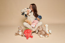 Load image into Gallery viewer, Sweetie Snuggles™ Plush Pink Bunny
