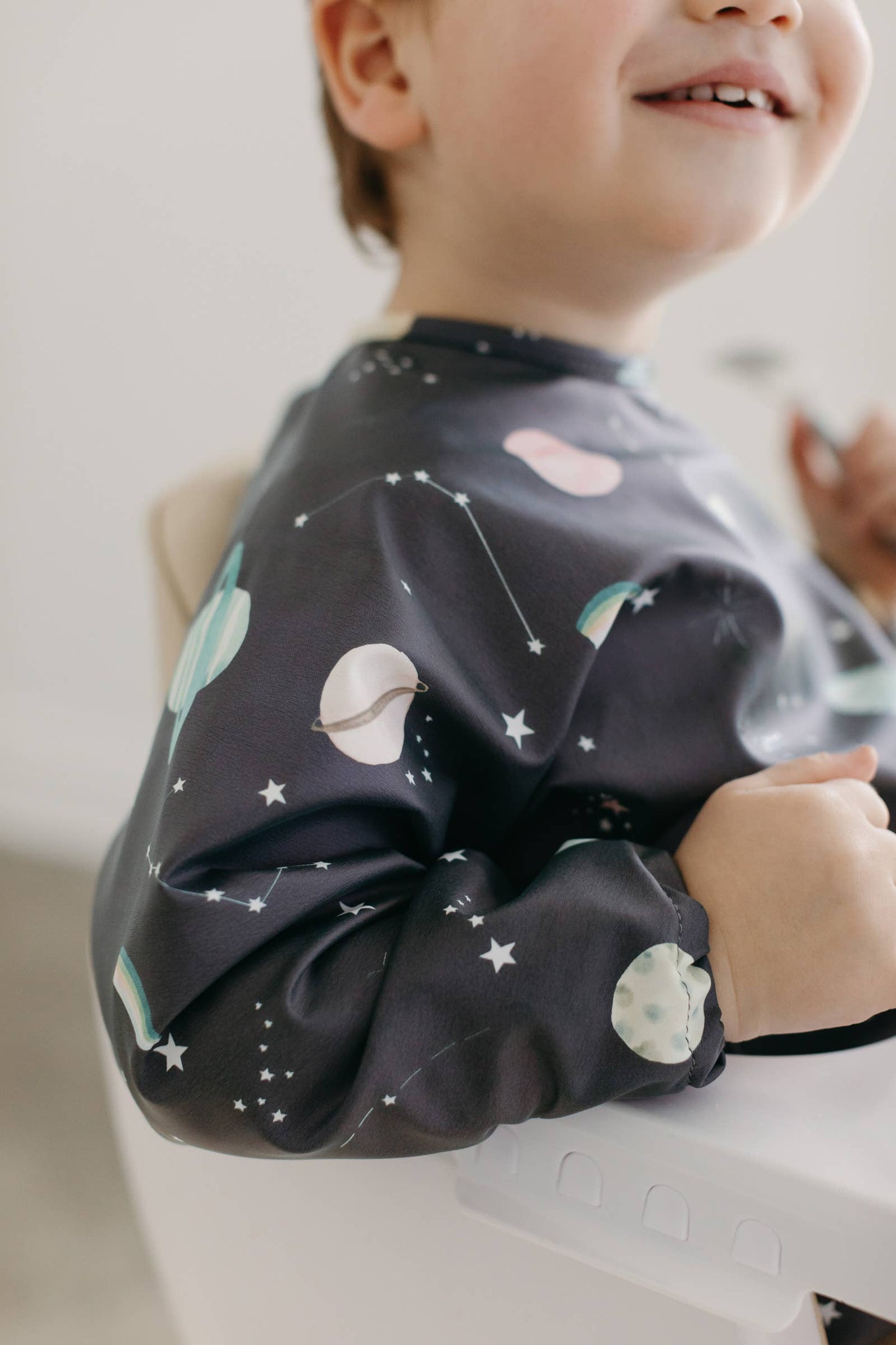 Long Sleeve Waterproof Bib: Hedgehogs