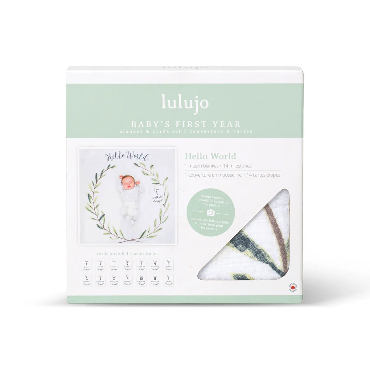 Baby's 1st Year Milestone Blanket Set (Hello World Wrealth)
