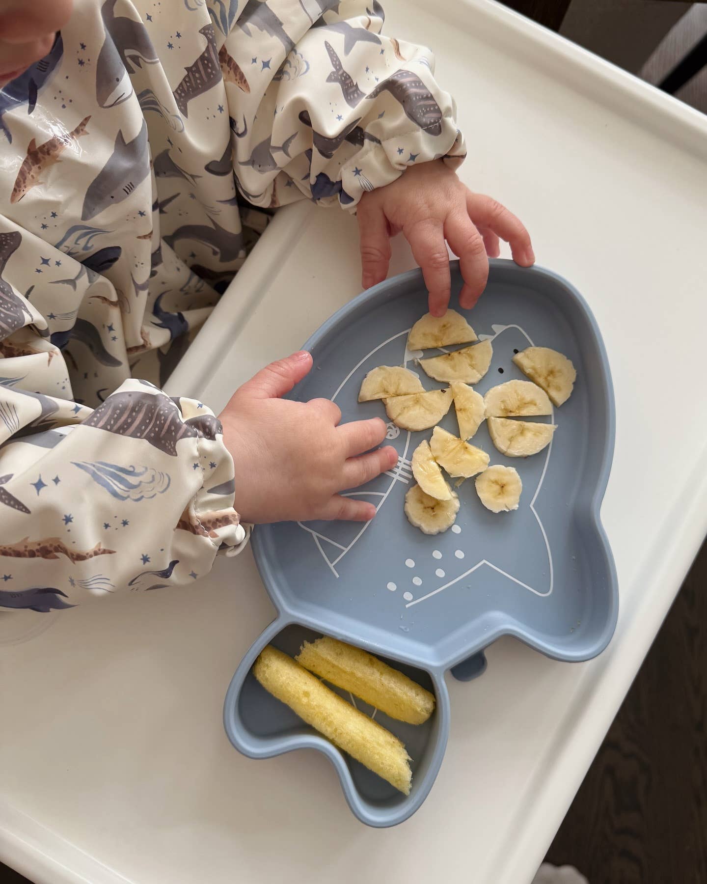 Long Sleeve Waterproof Bib: Hedgehogs
