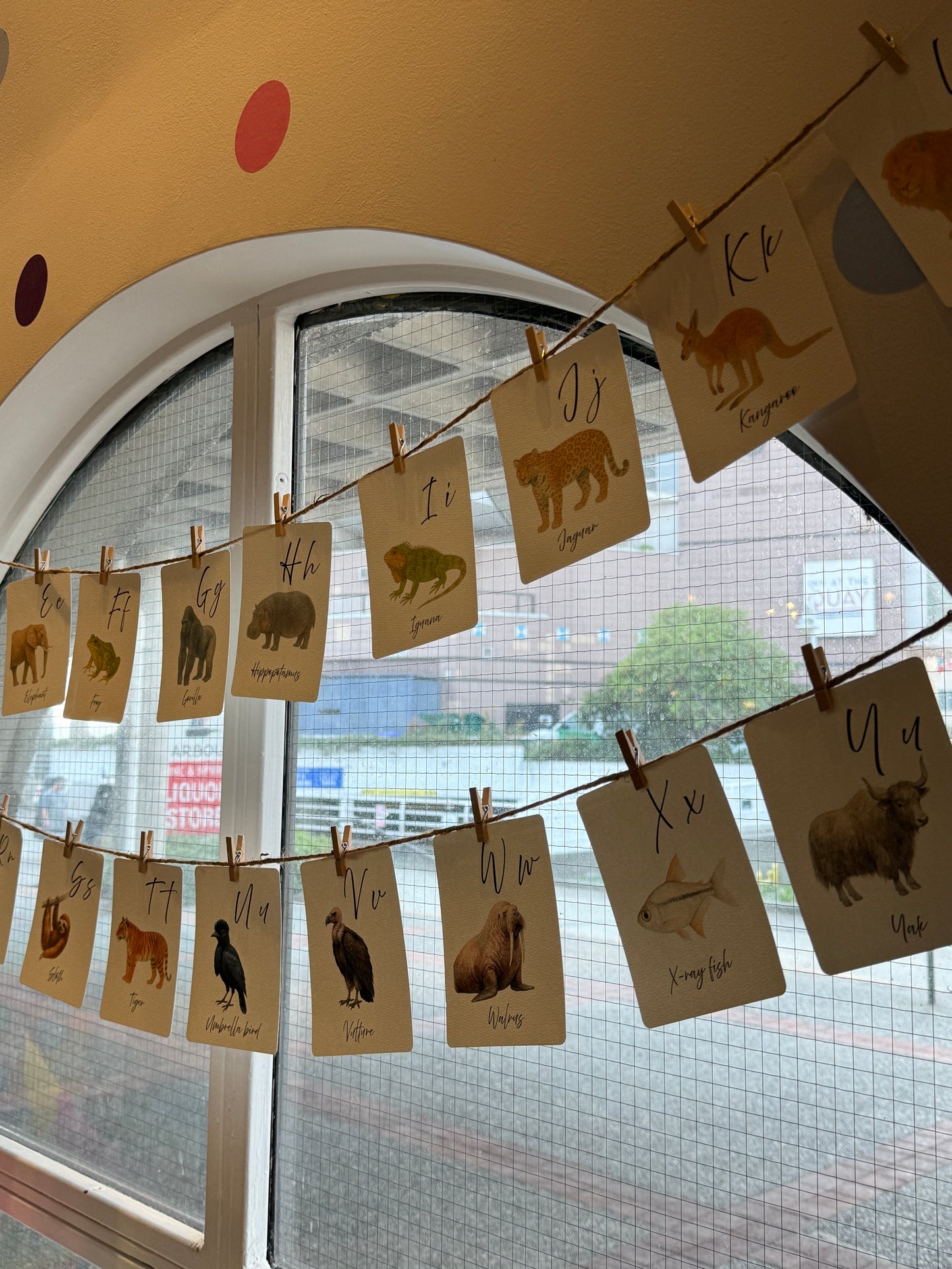 Alphabet Cards - Animals