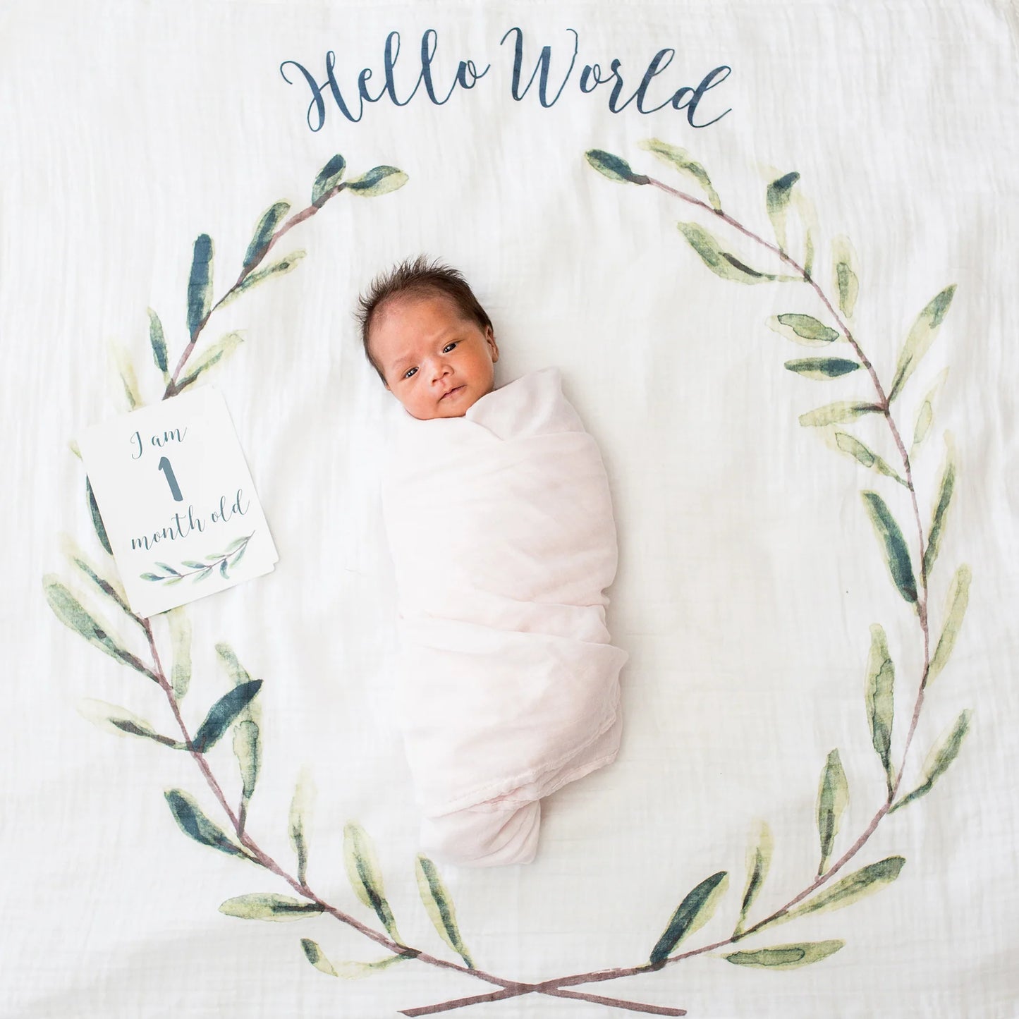 Baby's 1st Year Milestone Blanket Set (Hello World Wrealth)