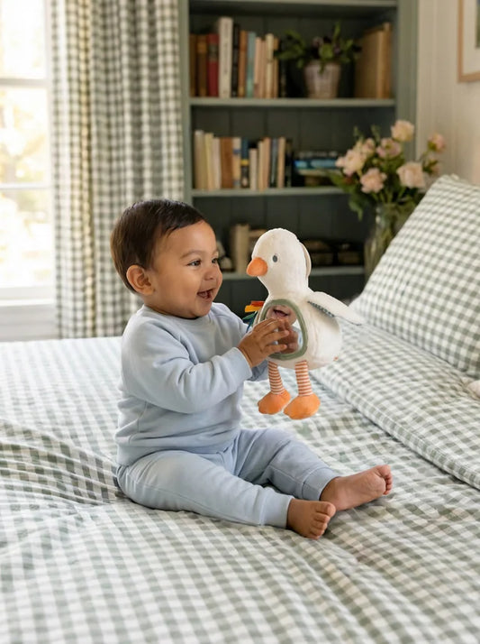 Itzy Bitzy Mirror - Goose Sensory Plush Toy