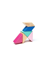 Load image into Gallery viewer, Tegu Pocket Pouches: Prism
