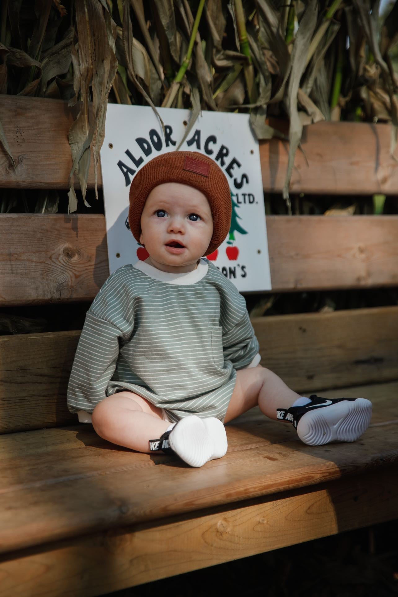 Organic Cotton Striped Onesie - Green