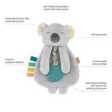Load image into Gallery viewer, Itzy Friends Itzy Lovey™ Plush with Silicone Teether Toy - Kayden the Koala
