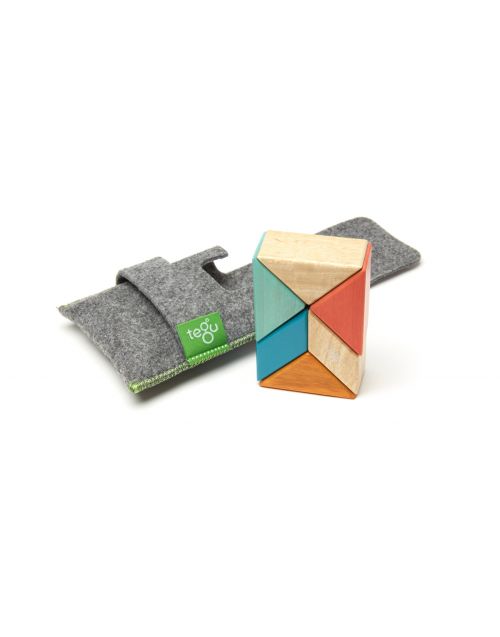 Tegu Pocket Pouches: Prism