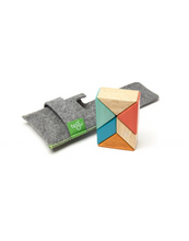 Load image into Gallery viewer, Tegu Pocket Pouches: Prism
