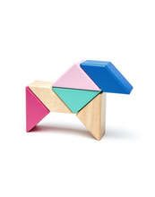 Load image into Gallery viewer, Tegu Pocket Pouches: Prism
